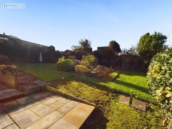 Garden ii.jpg