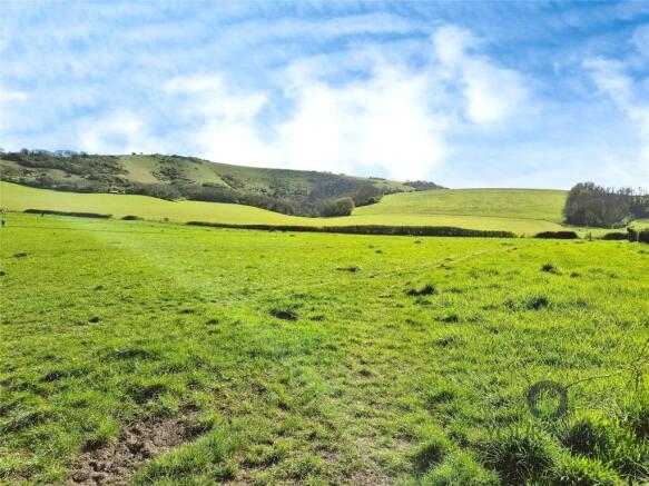 Paragon Fields