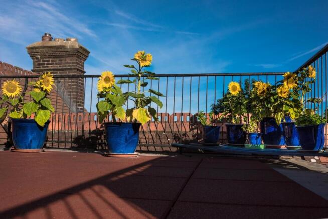 Roof Terrace