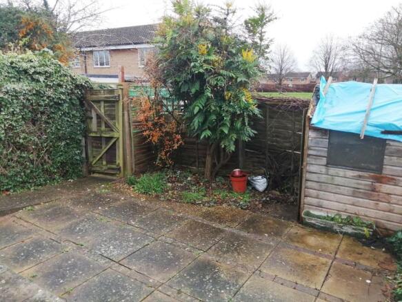 garden