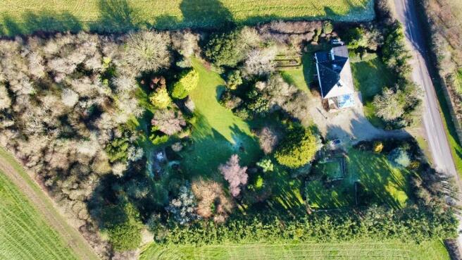 Photo 34