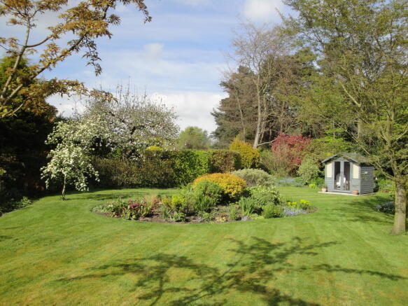 Garden in Summer