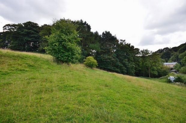 Lands with woodland