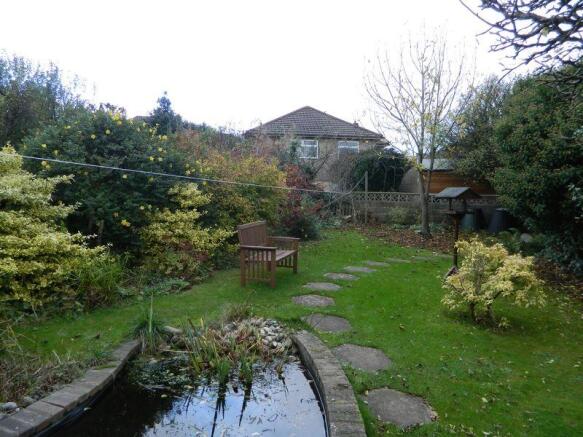 Garden Pic 2