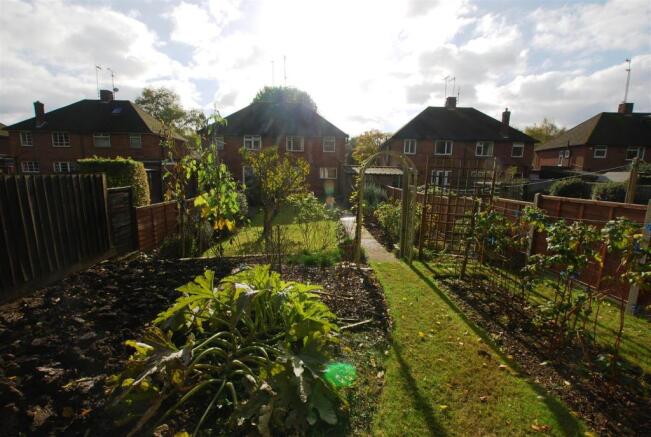 garden.jpg