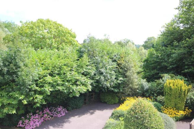 View from Lounge.JPG