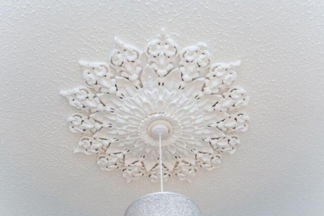 Ornate Ceiling...