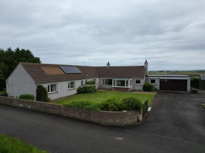Longa, Dunnet