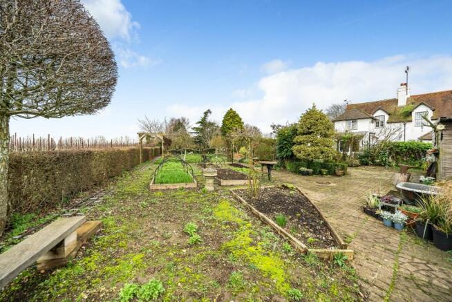 Garden (4)