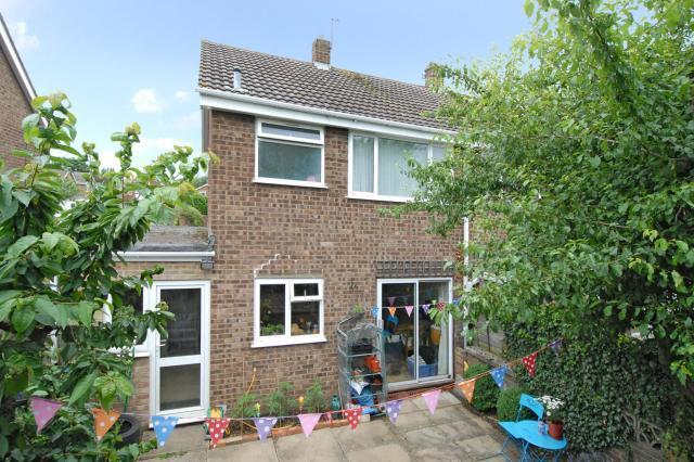 Rear Aspect