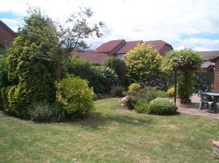 Rear Gdn