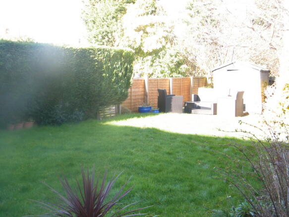 Photo 15
