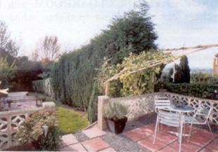 Rear garden