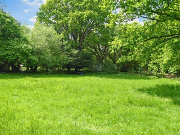 Field
