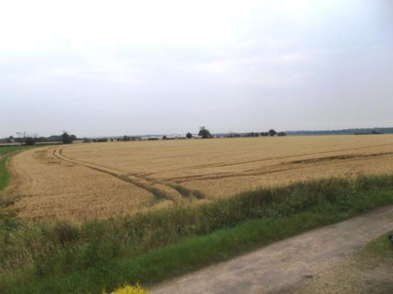 Views To Front