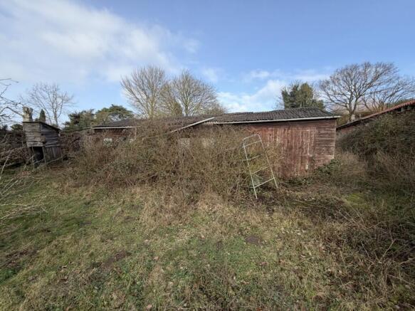 2  Medium  T202602201044.jpg