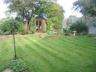 Garden 1
