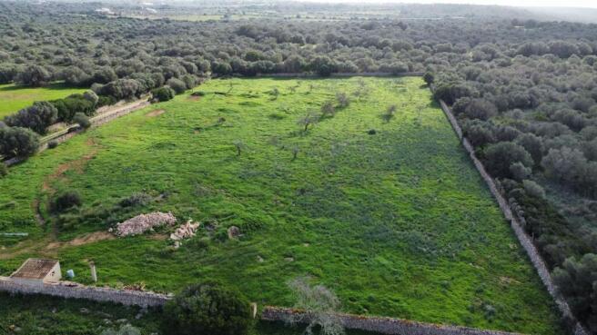 Plot with seaview