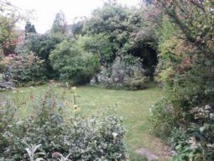 Back Garden