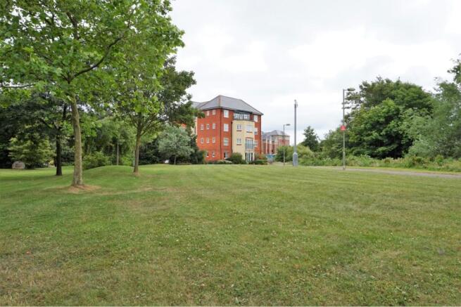 Grounds