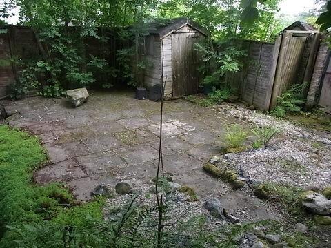 Rear Yard