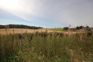 field 2