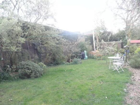 Photo 10