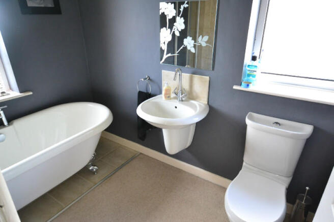 Picture 9