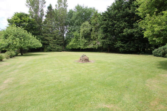 Lawn and surrounding trees