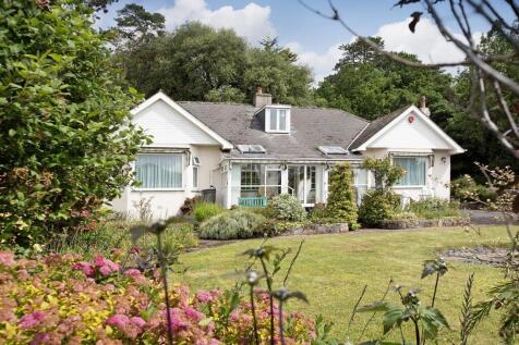 Teignmouth Road, Torquay, TQ1