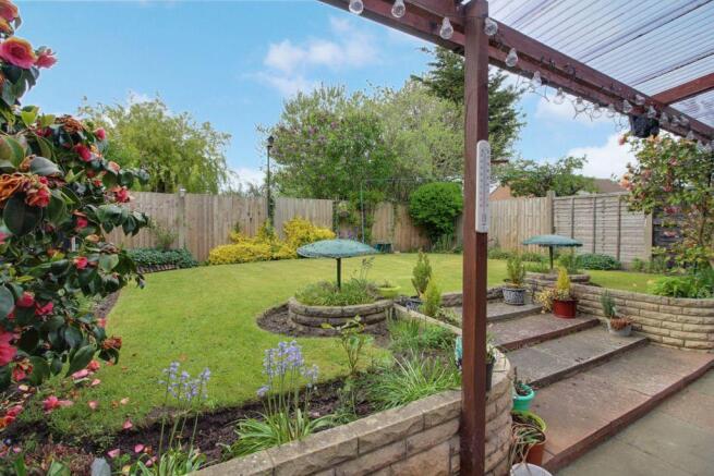Garden at Back