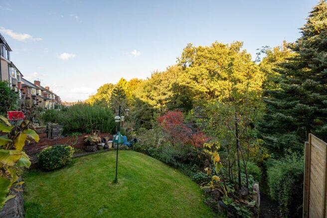 Part of Garden