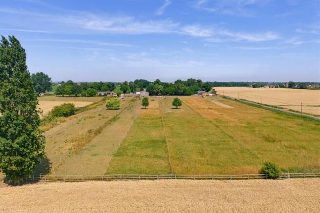 Grade 1 Grassland
