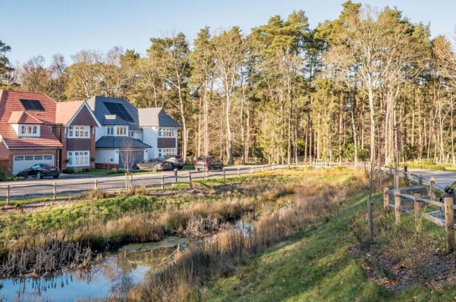 1407498-37-69837d...