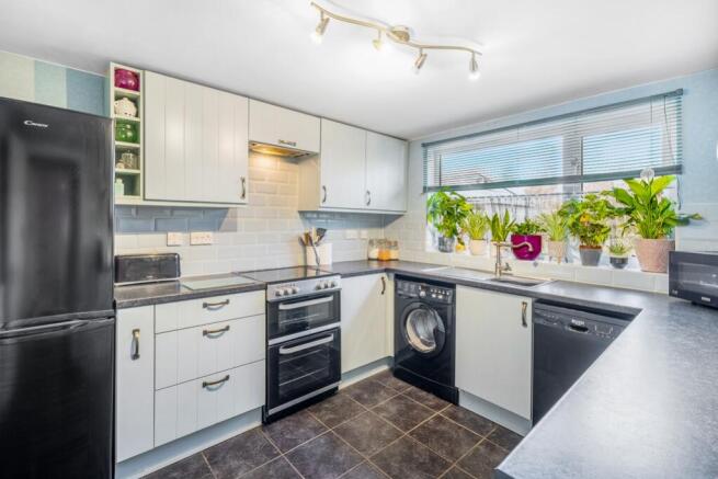 Pondarosa (Frampton)-20