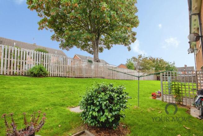 Back Garden