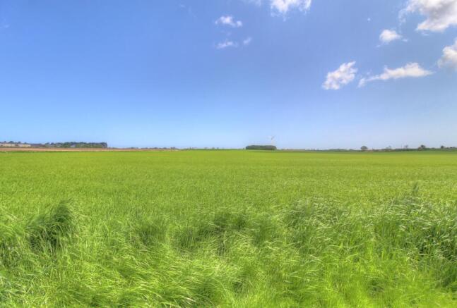 Field Views