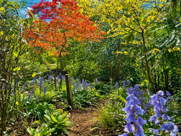 Gardens