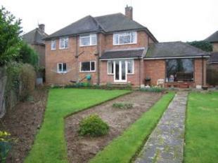 Rear Elevation