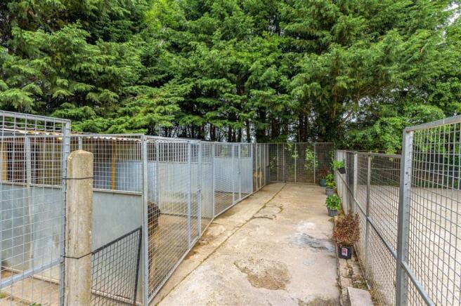 Kennels & Runs