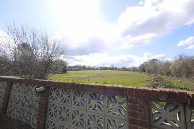Open Meadow