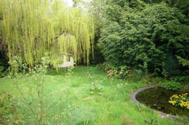 Pond