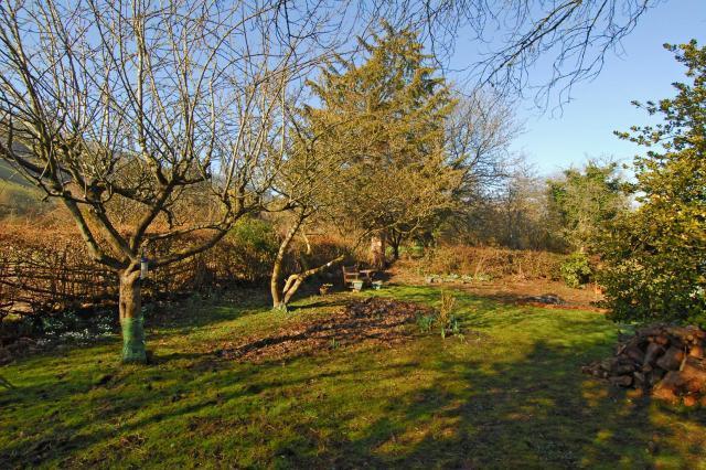 Large rear garden