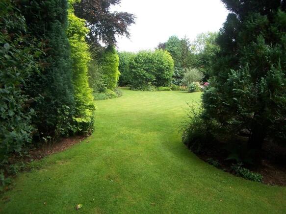 Garden 2