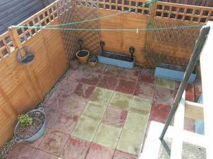 Patio Garden