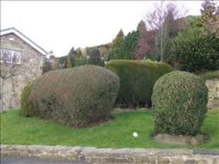 Image for property