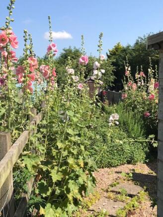 Summer Garden