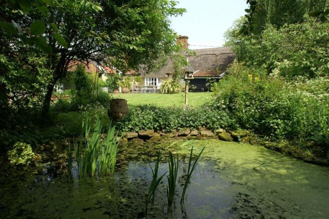 Pond View