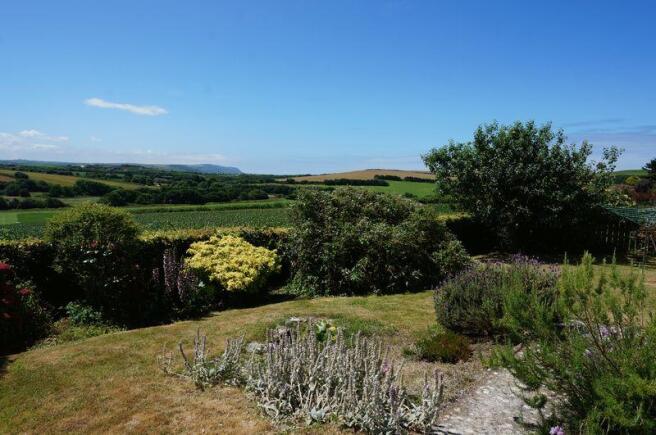 Rear Garden View