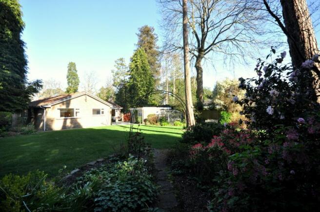 Photo 13